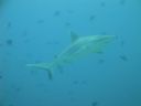 DSC00474.JPG