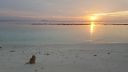 DSC00867-11.jpg