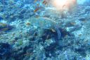 DSC00046.JPG
