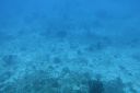 DSC00125.JPG