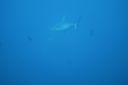 DSC00148.JPG