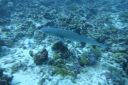 DSC00166.JPG