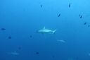 DSC00454.JPG
