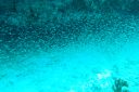 DSC00028.JPG