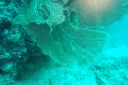 DSC00115.JPG