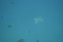 DSC00093.JPG
