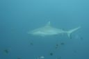 DSC00408.JPG