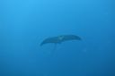 DSC00572.JPG