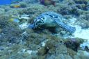 DSC00578.JPG