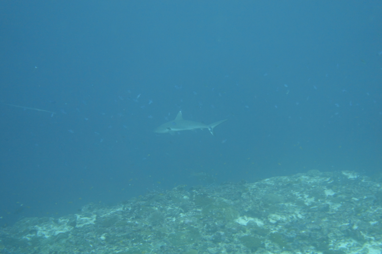 DSC00182.JPG