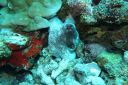 DSC00026.JPG