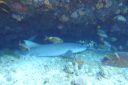 DSC00053.JPG