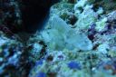 DSC00057.JPG