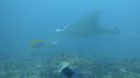 DSC00080.JPG