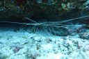 DSC00087.JPG