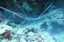 DSC00088.JPG