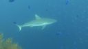 DSC00118.JPG