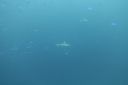 DSC00186.JPG