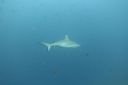 DSC00252.JPG