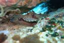 DSC00257.JPG