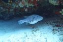 DSC00266.JPG