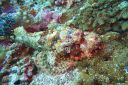 DSC00272.JPG