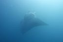 DSC00357.JPG