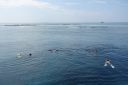 DSC00360.JPG