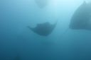 DSC00489.JPG