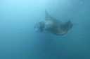 DSC00494.JPG