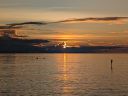 DSC00498-3.JPG