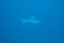 DSC00572.JPG