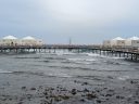 DSC00586-4.JPG