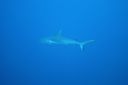 DSC00590.JPG