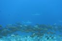 DSC00627.JPG