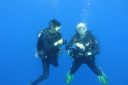 DSC00648.JPG