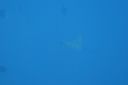 DSC00663.JPG