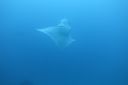 DSC00759.JPG