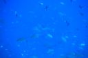 DSC00854.JPG