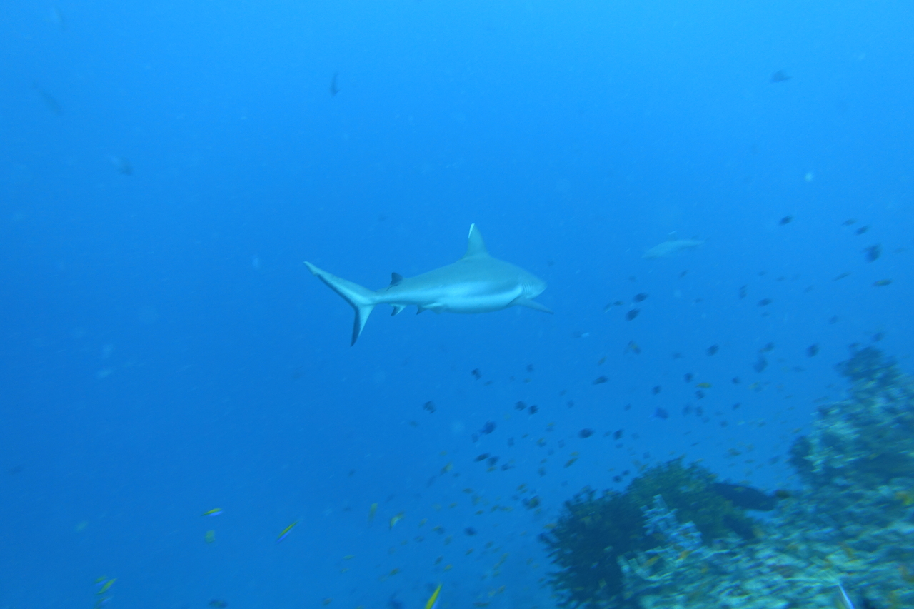 DSC00378.JPG