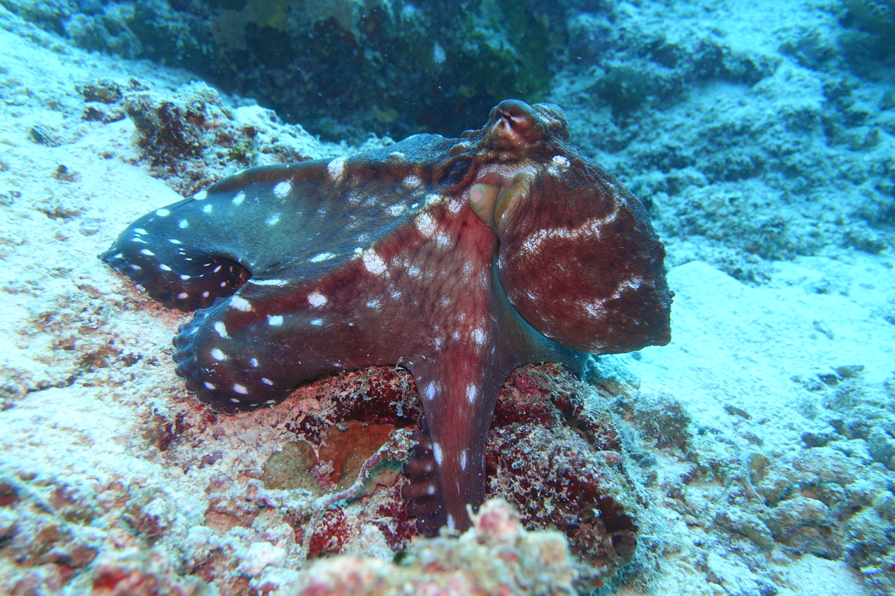 DSC00414.JPG