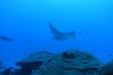 DSC00084.JPG