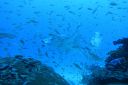 DSC00090.JPG