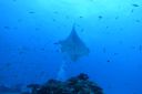 DSC00106.JPG