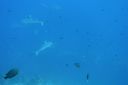 DSC00112.JPG