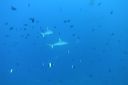 DSC00119.JPG