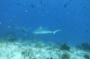 DSC00134.JPG