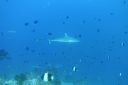 DSC00135.JPG