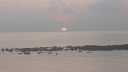 DSC00148.JPG