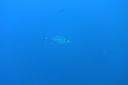 DSC00154.JPG
